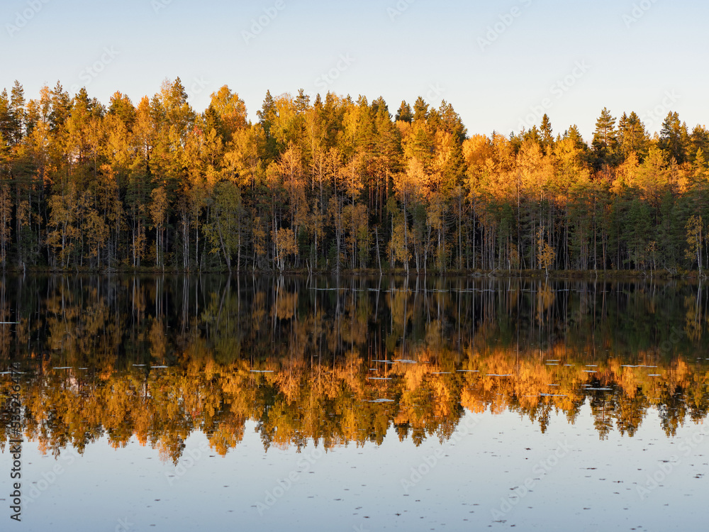 Golden autumn in Karelia, northwest Russia. Trees with yellow leaves, calm on the lake. Clouds in the sky.