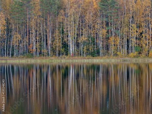 Trees are reflected in the lake water in autumn in Karelia, northwest Russia