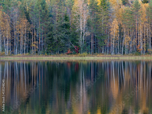 Trees are reflected in the lake water in autumn in Karelia, northwest Russia