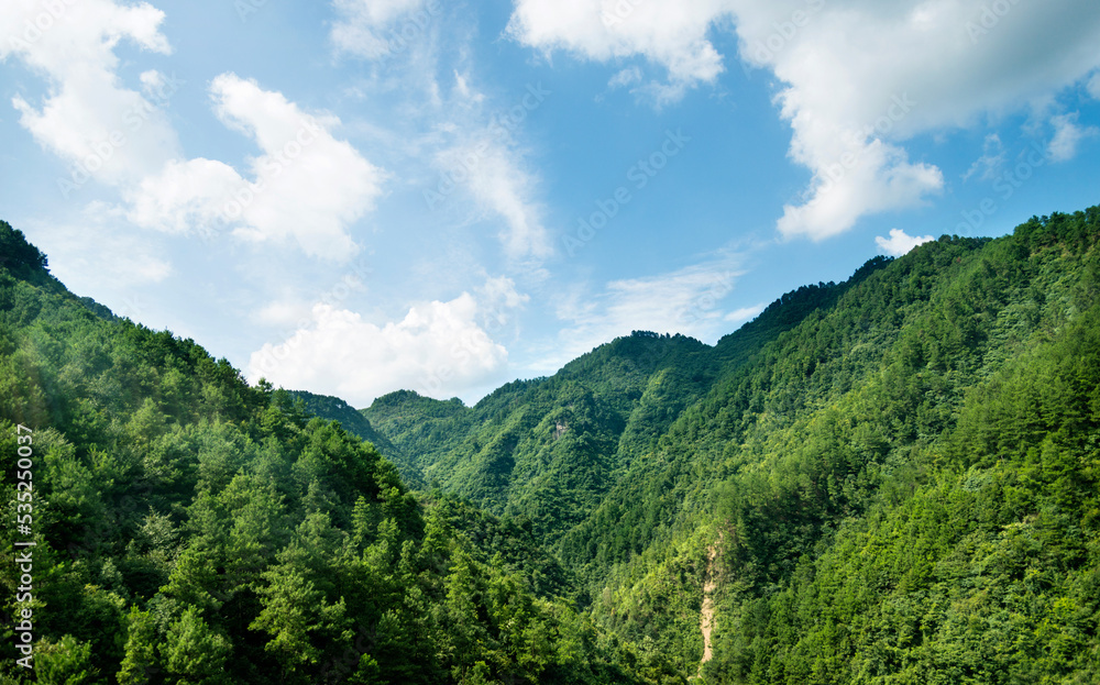 Green mountains covered with forest landscape in summer