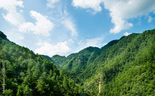 Green mountains covered with forest landscape in summer © xy