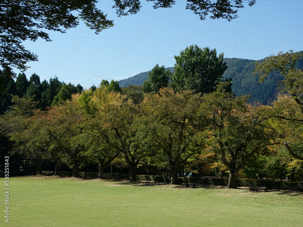 緑豊かな公園 緑豊かな公園
