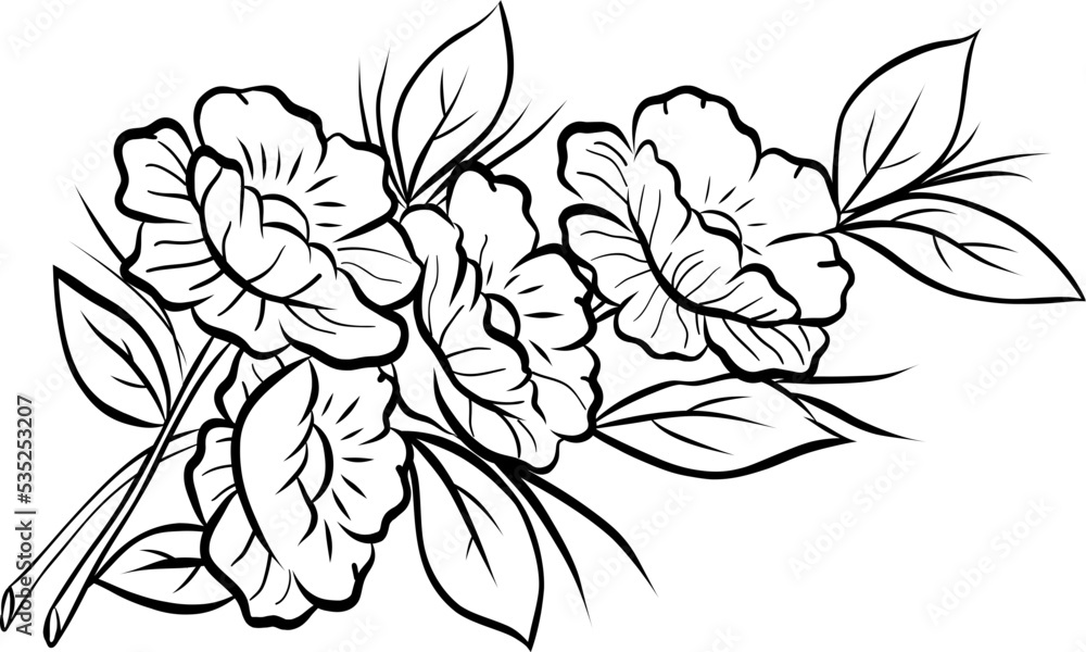 Hand drawn Floral, plants doodles illustration