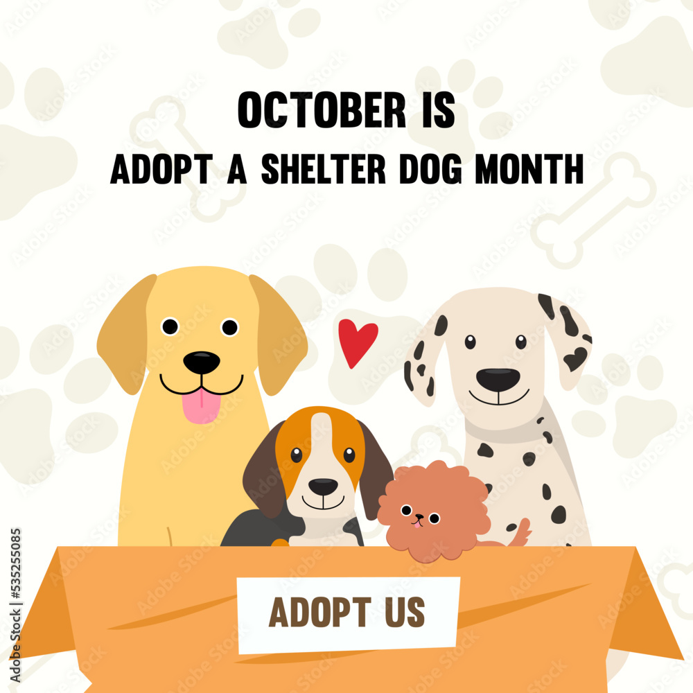 Adoption Center Looking To Adopt A Puppy Dog Adopt Center