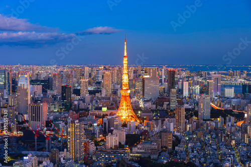 東京都心と東京タワーの夜景