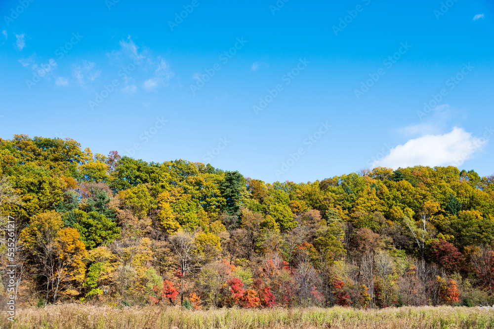 The mountain autumn landscape under blue sky