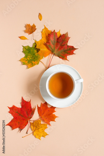 Autumn composition Flat Lay, a cup of tea on a saucer and a composition of autumn leaves. Autumn concept