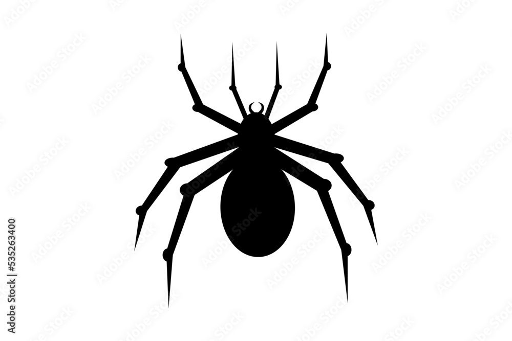 spider on white background spider on white background