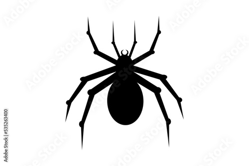 spider on white background