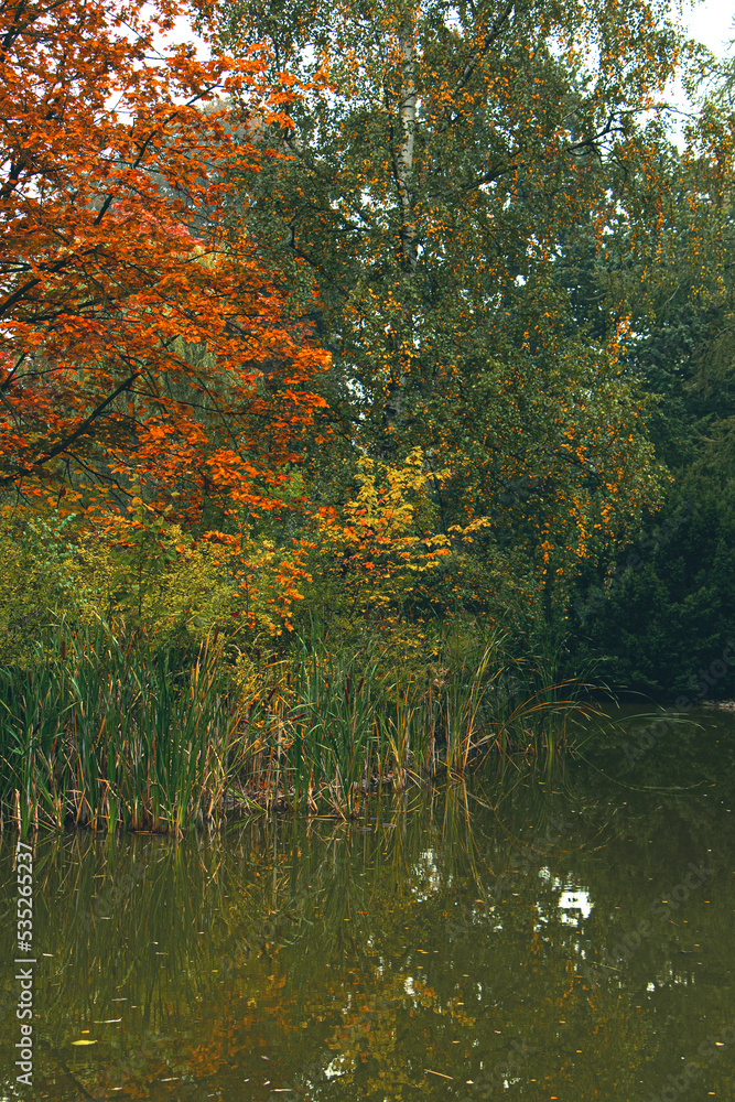 autumn trees reflected in water