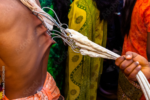 BATU CAVES, MALAYSIA: Thaipusam hindu ceremony, detail of male pilgrim pulling heavy Kavadi (painful symbol of burden) with hooks attached to the skin of his back photo