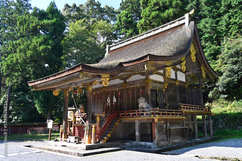 Naklejka premium 滋賀県大津市にある日吉大社 東本宮の樹下宮本殿