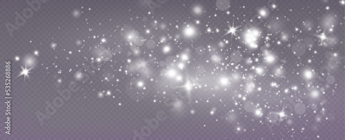 Light effect with glitter particles.Christmas dust.White sparks shine with special light.