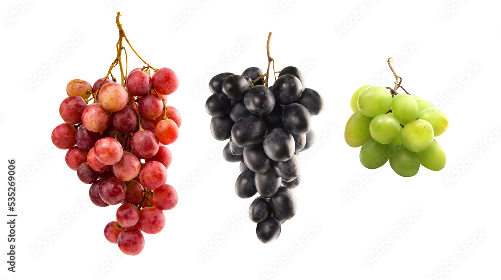 Collection of grape varieties on white background. Red grapes, black grapes, green grapes.