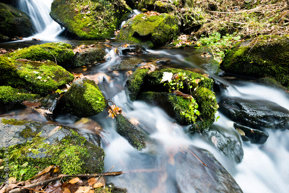 Mossy rocks in stream with smooth flowing water Mossy rocks in stream with smooth flowing water