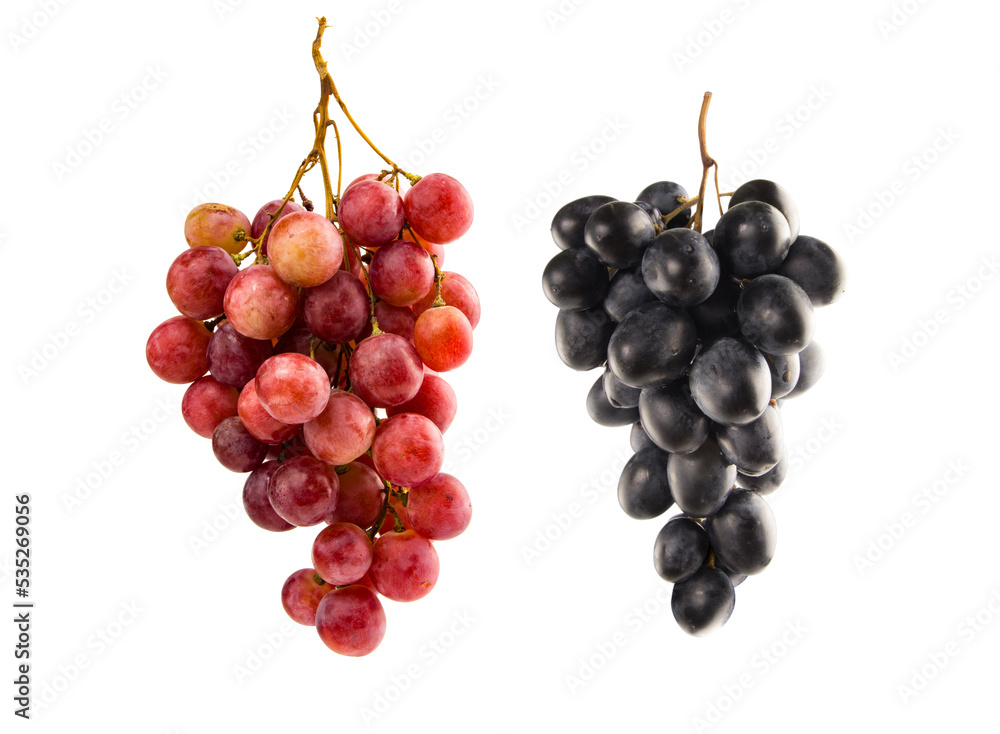 Collection of grape varieties on white background. Red grapes, black grapes. Collection of grape varieties on white background. Red grapes, black grapes.