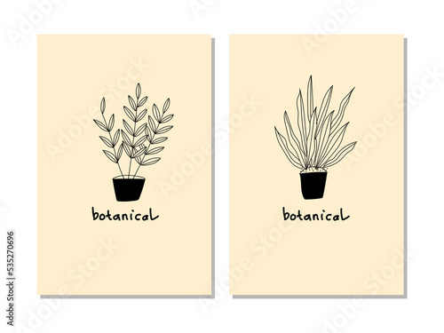 Set of home plants in flowerpot hand drawing black and white vector illustration. Vintage, trendy, urban jungle decor.