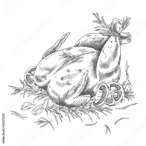 Hand drawn monochrome cooked chicken with spices and vegetables sketch style