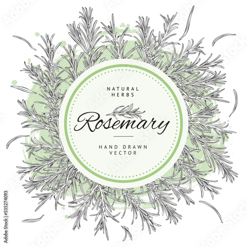 Rosemary natural herb banner, circle frame with text - sketch vector illustration on white background.