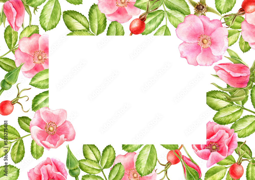 pink wild rose flowers and green leaves, watercolor drawing floral background, hand drawn illustration,natural template