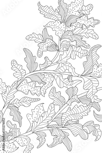 A colouring page with an outline drawing of an oak tree with orn