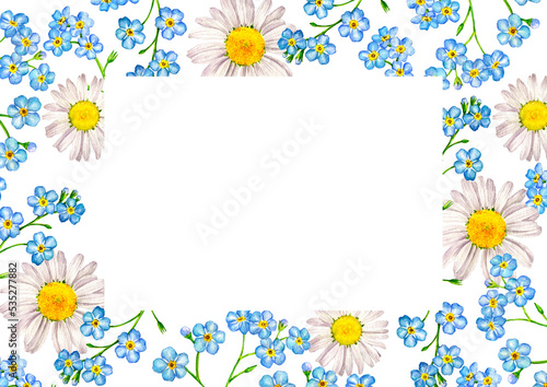 white chamomile and blue forget-me-nots , watercolor drawing floral background, hand drawn illustration,natural template