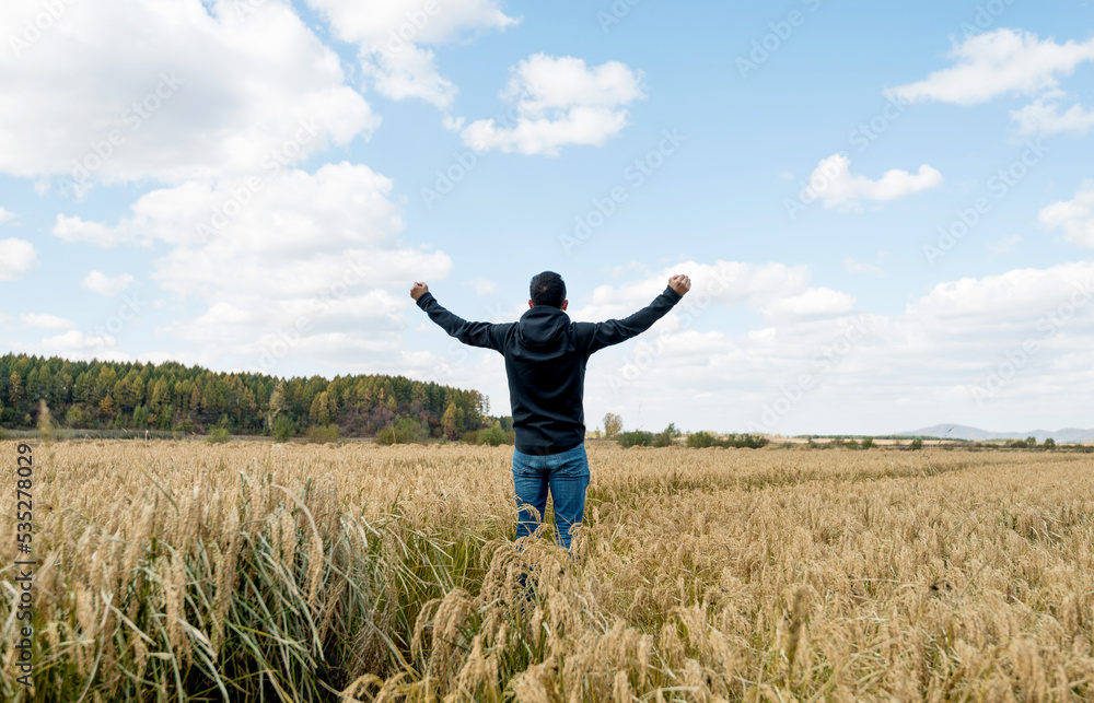 Young man standing in the middle of paddy field Young man standing in the middle of paddy field