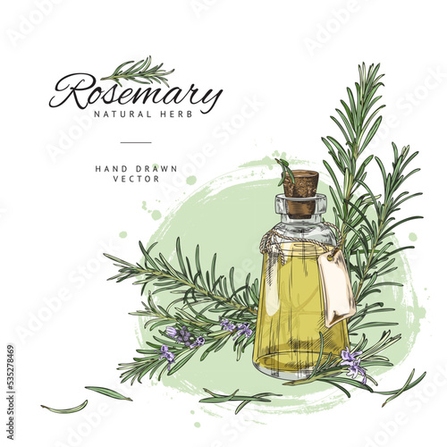 Hand drawn rosemary plant banner with text,colored sketch vector illustration.