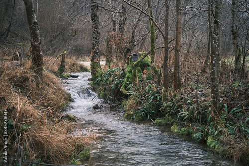 Leicht düstere und trübe Flusslandschaft im Winter ohne Schnee, hier am Beispiel des Brühlbachs in Bad Urach, Schwäbische Alb, Baden-Württemberg, Deutschland. 