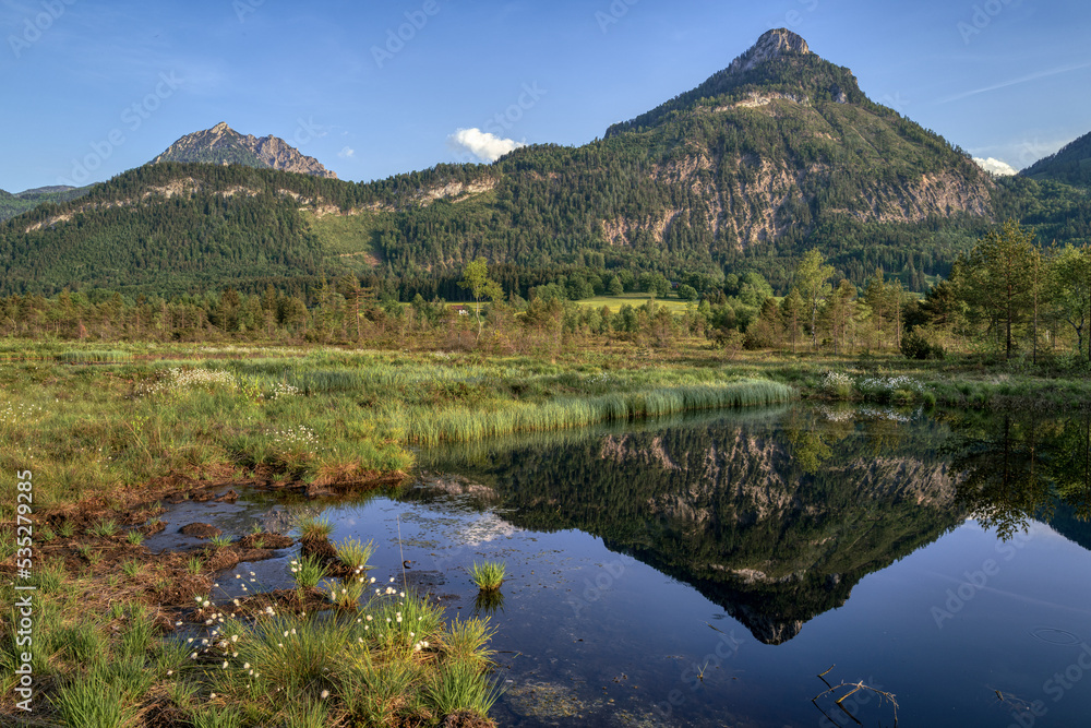 Naklejka premium Blinklingmoos St. Wolfgang | Oberösterreich