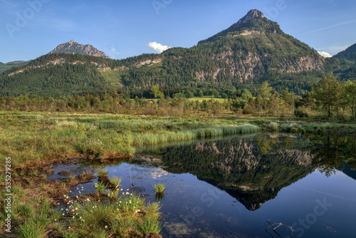 Blinklingmoos St. Wolfgang | Oberösterreich