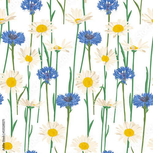 daisies, chamomiles and blue cornflowers, field flowers, vector drawing seamless pattern with wild plants at white background, flowering meadow , hand drawn botanical illustration