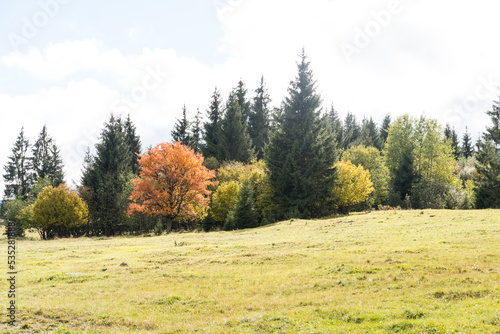 autumn in the mountains, Racu Village, Harghita Mountains, Romania 