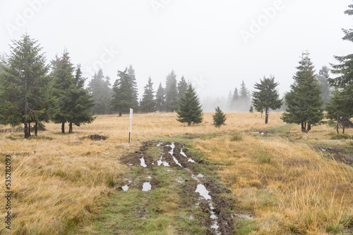 Fototapeta Naklejka Na Ścianę i Meble -  mountain path,  Madaras Peak, Harghita Mountains, Romania 