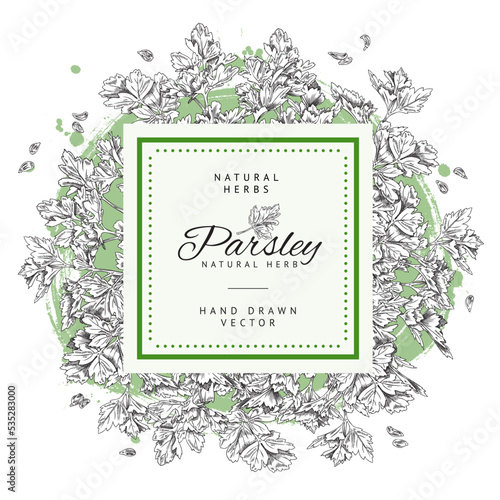 Decorative frame design with with hand drawn monochrome parsley sketch style