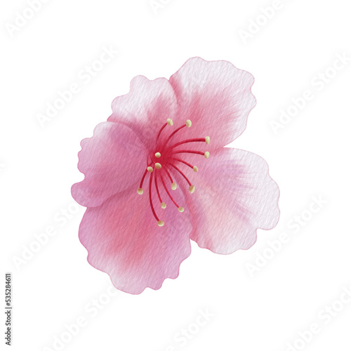 Pink petals Sakura and pollen. Raster png transparent illustration for decorate and any design.