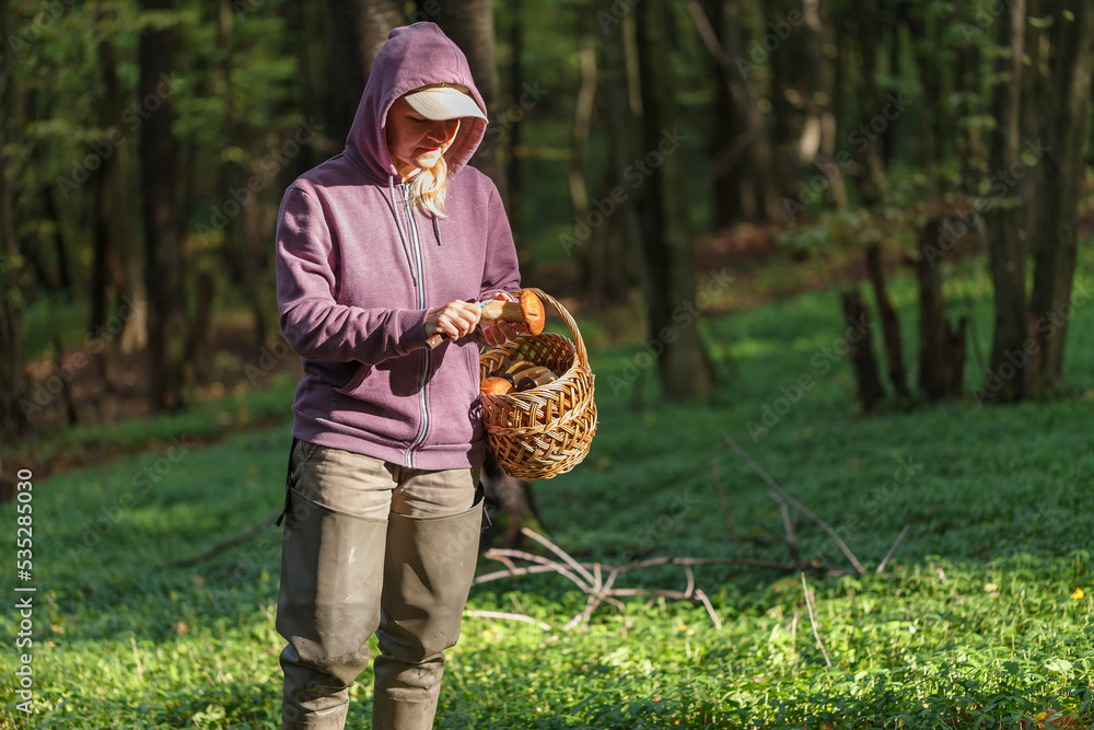 A woman is cutting a white mushroom with a knife. Hands of a woman, a knife, mushrooms. A woman is cutting a white mushroom with a knife. Hands of a woman, a knife, mushrooms.