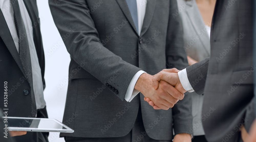 Business partners handshaking with their colleagues.