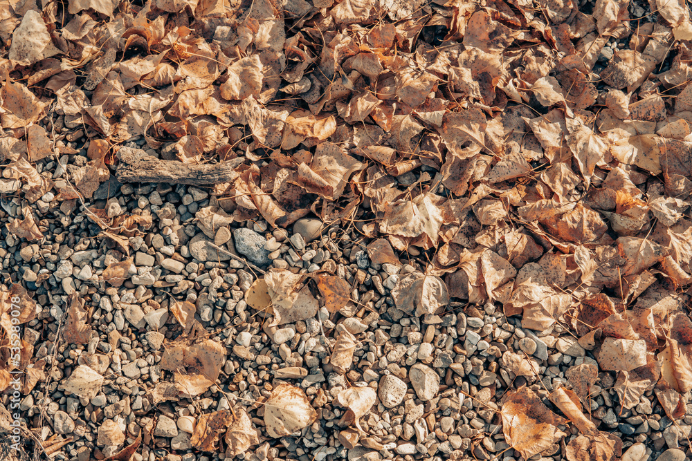 texture of the ground texture of the ground