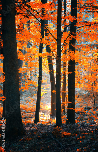 Herbst 001