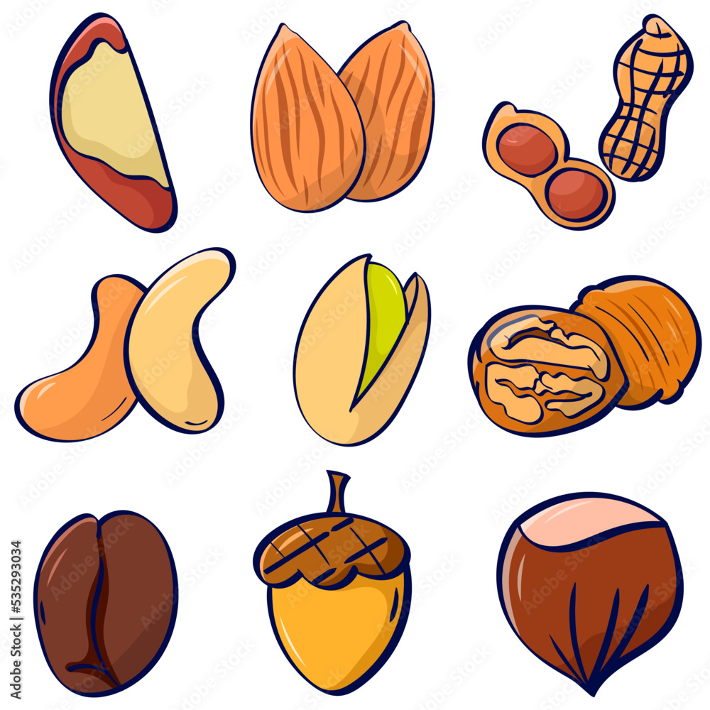 set of nuts illustration vector graphic hand drawn