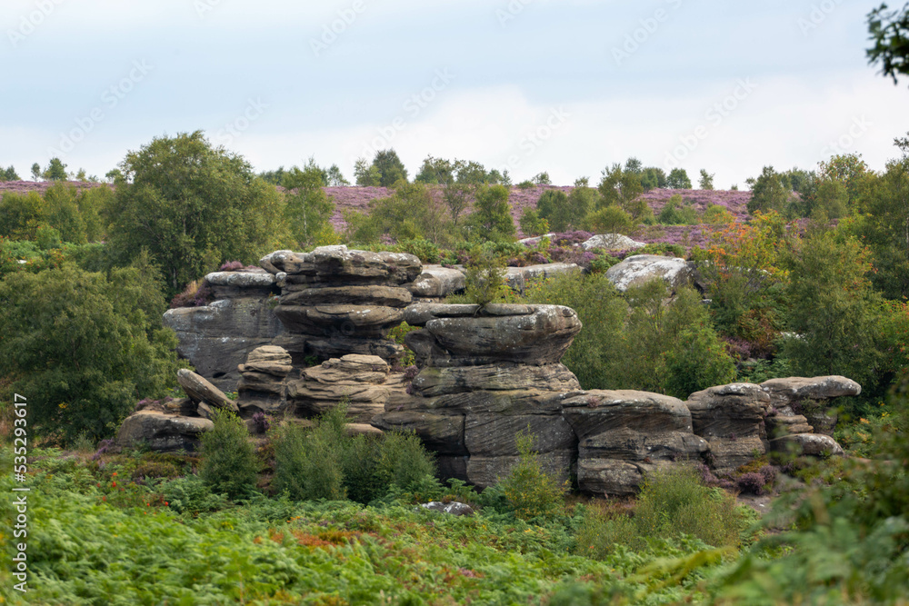 Brimham Rocks National trust Yorkshire