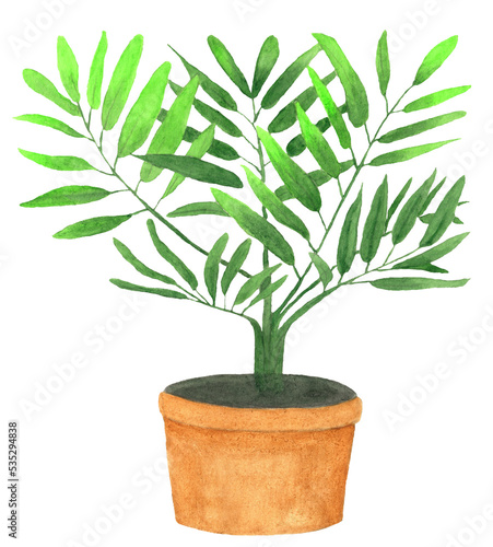 Hand drawn house plant in a pot. Watercolor painted. Isolated on transparent background. Design for print, vintage poster, wallpapers, textiles. Potted plant. Watercolour PNG