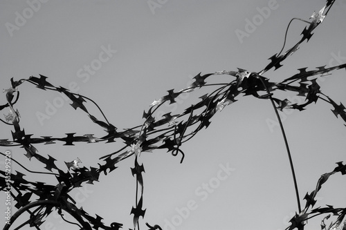 gray background  in the photo a barbed metal wire on a gray background