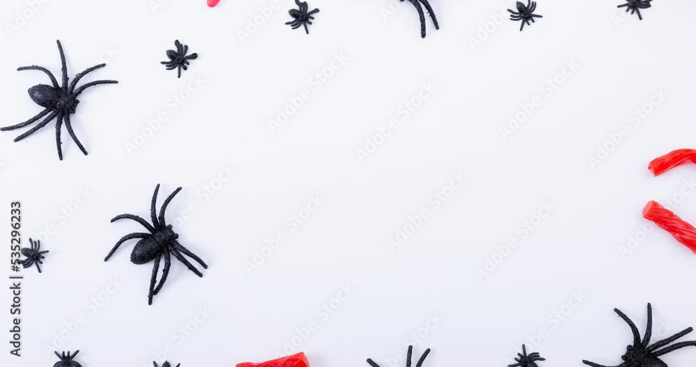 Animation of spiders on white background Animation of spiders on white background