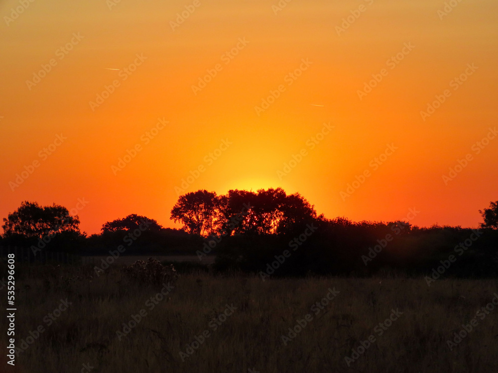beautiful bright orange sky above the trees as the sun rises over the countryside