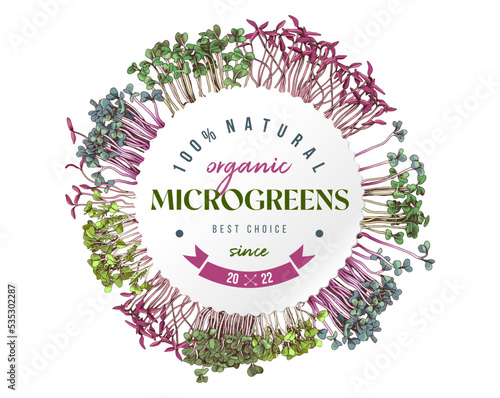 Label with fresh vector microgreens sprouts.