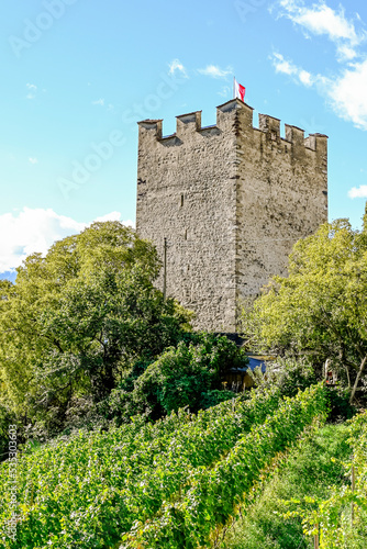 Meran, Pulverturm, Turm, Weinberge, Tappeinerweg, Spazierweg, Promenade, Waalweg, Herbst, Sommer, Etschtal, Vinschgau, Südtirol, Italien photo