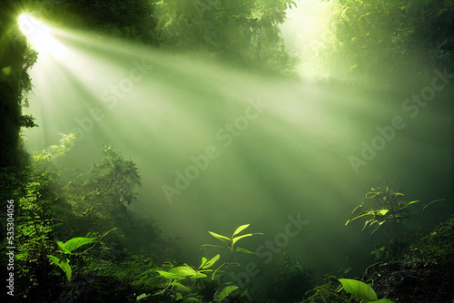 sunlight in the forest