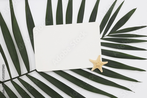 Empty anvas paper Blank texture card, palm leaf with copy space for your text message. Minimalism style template background. Top view. photo